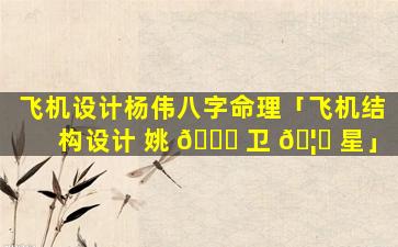 飞机设计杨伟八字命理「飞机结构设计 姚 💐 卫 🦋 星」
